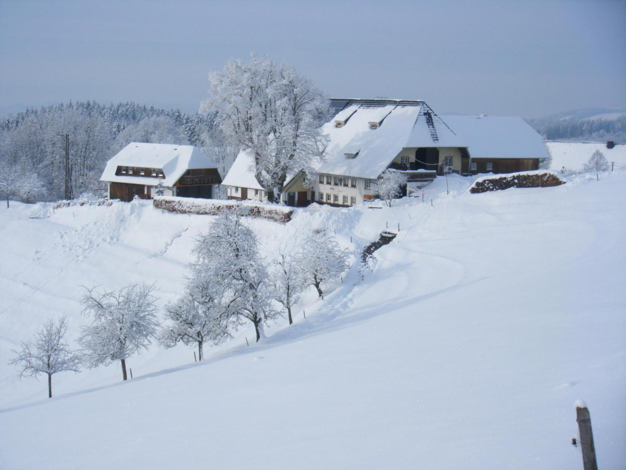 Apartamento Brosihof Erlenbach  Exterior foto