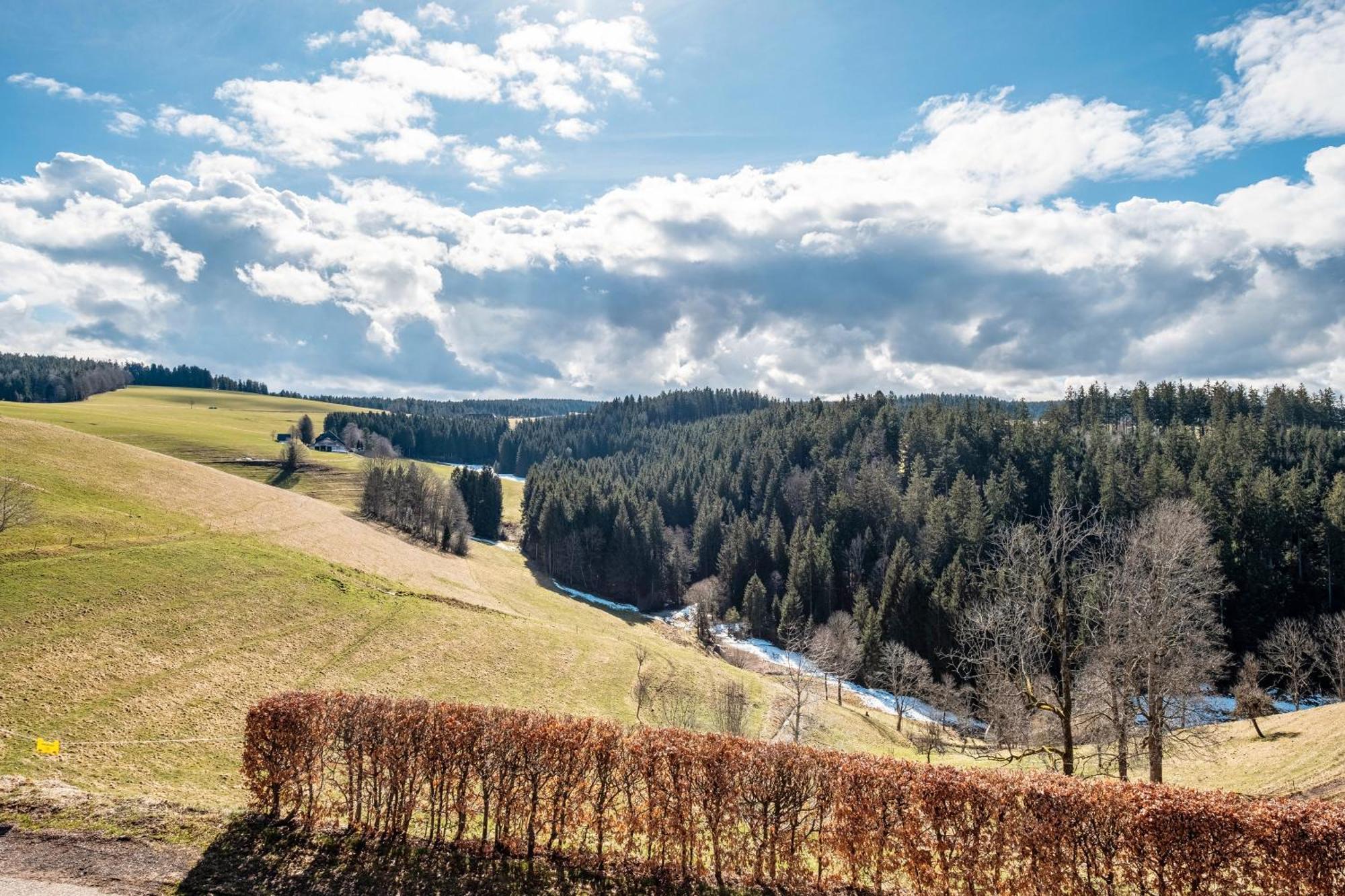 Apartamento Brosihof Erlenbach  Exterior foto